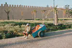 Le Maroc avec un Nikon F100