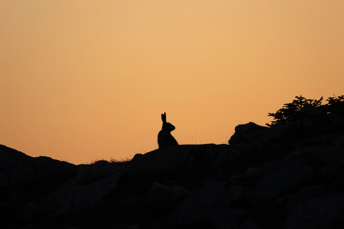 Carnet de voyage à Saint-Pierre-et-Miquelon