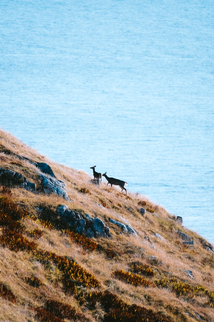 Carnet de voyage à Saint-Pierre-et-Miquelon