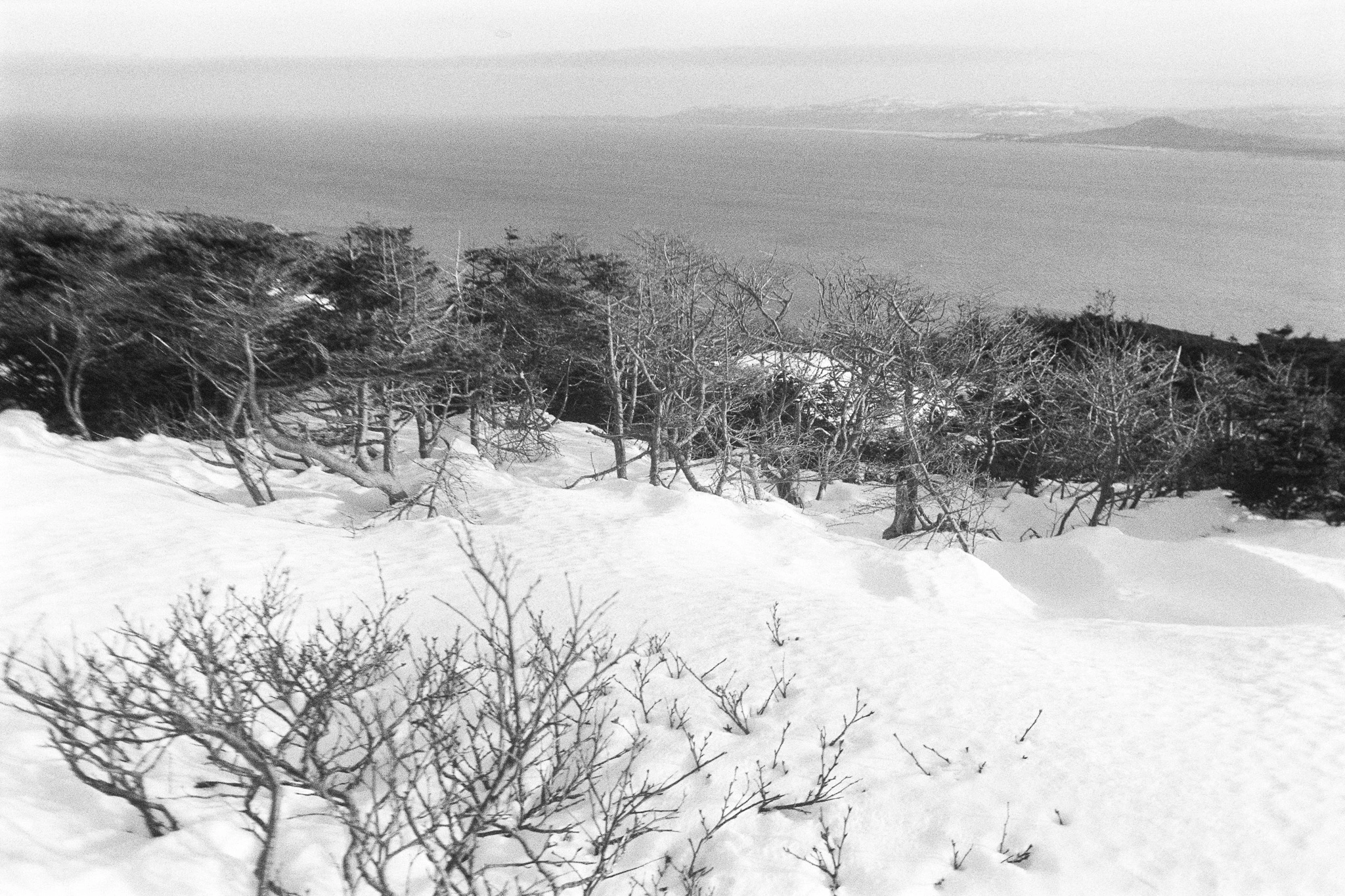 Saint-Pierre-et-Miquelon sous la neige