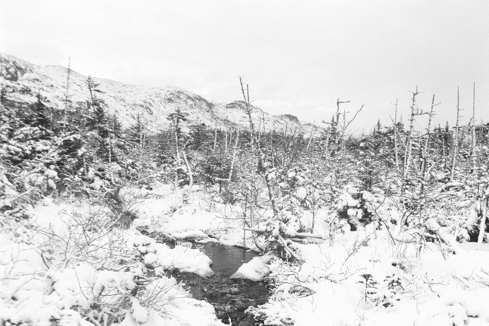 Saint-Pierre-et-Miquelon sous la neige