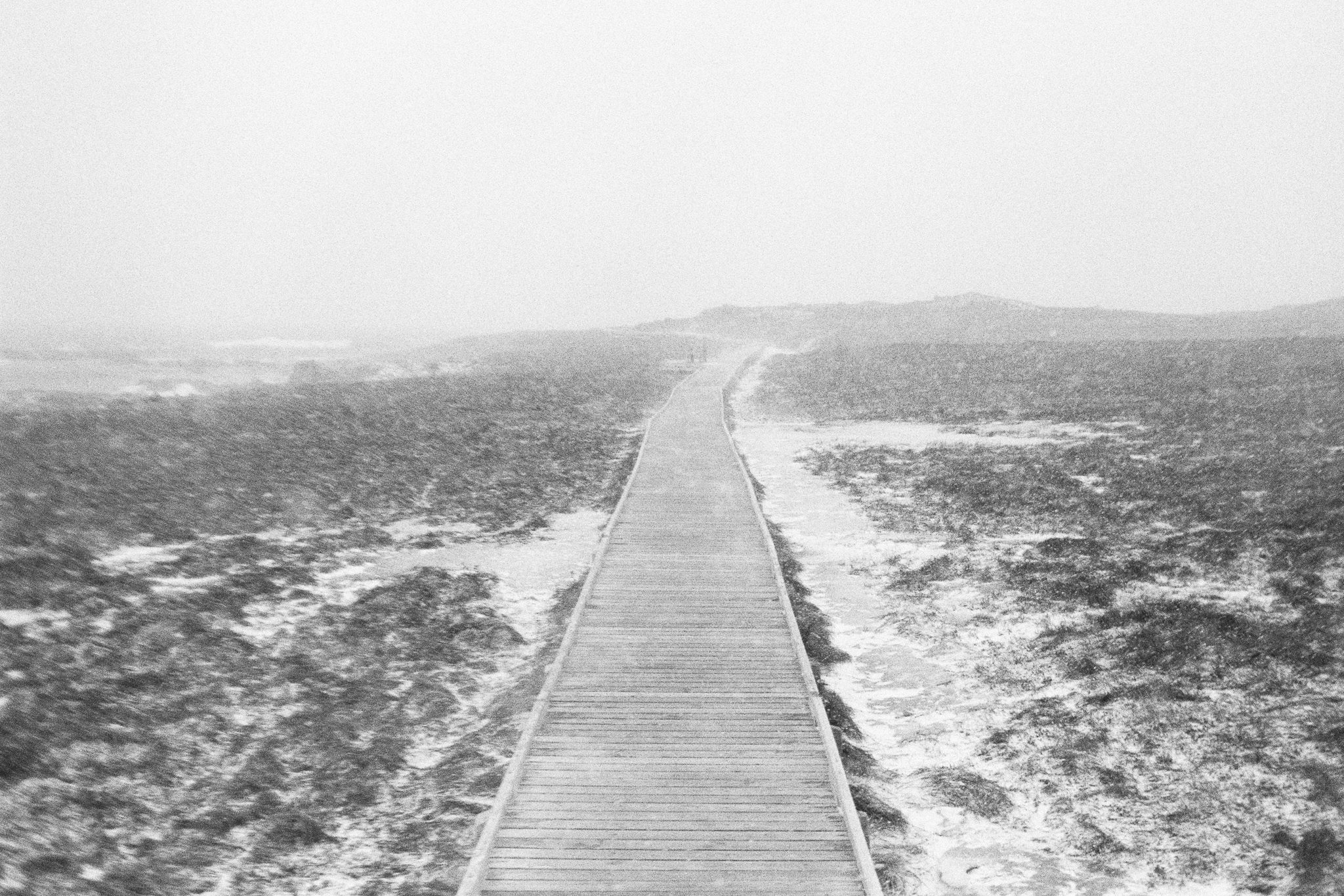 Saint-Pierre-et-Miquelon sous la neige