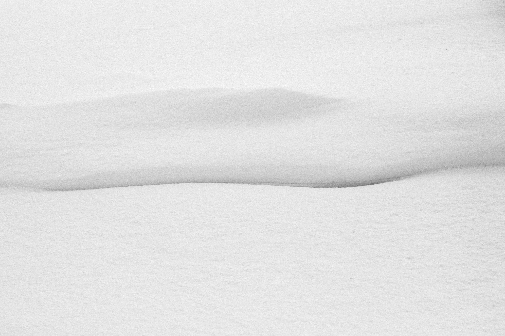 Saint-Pierre-et-Miquelon sous la neige