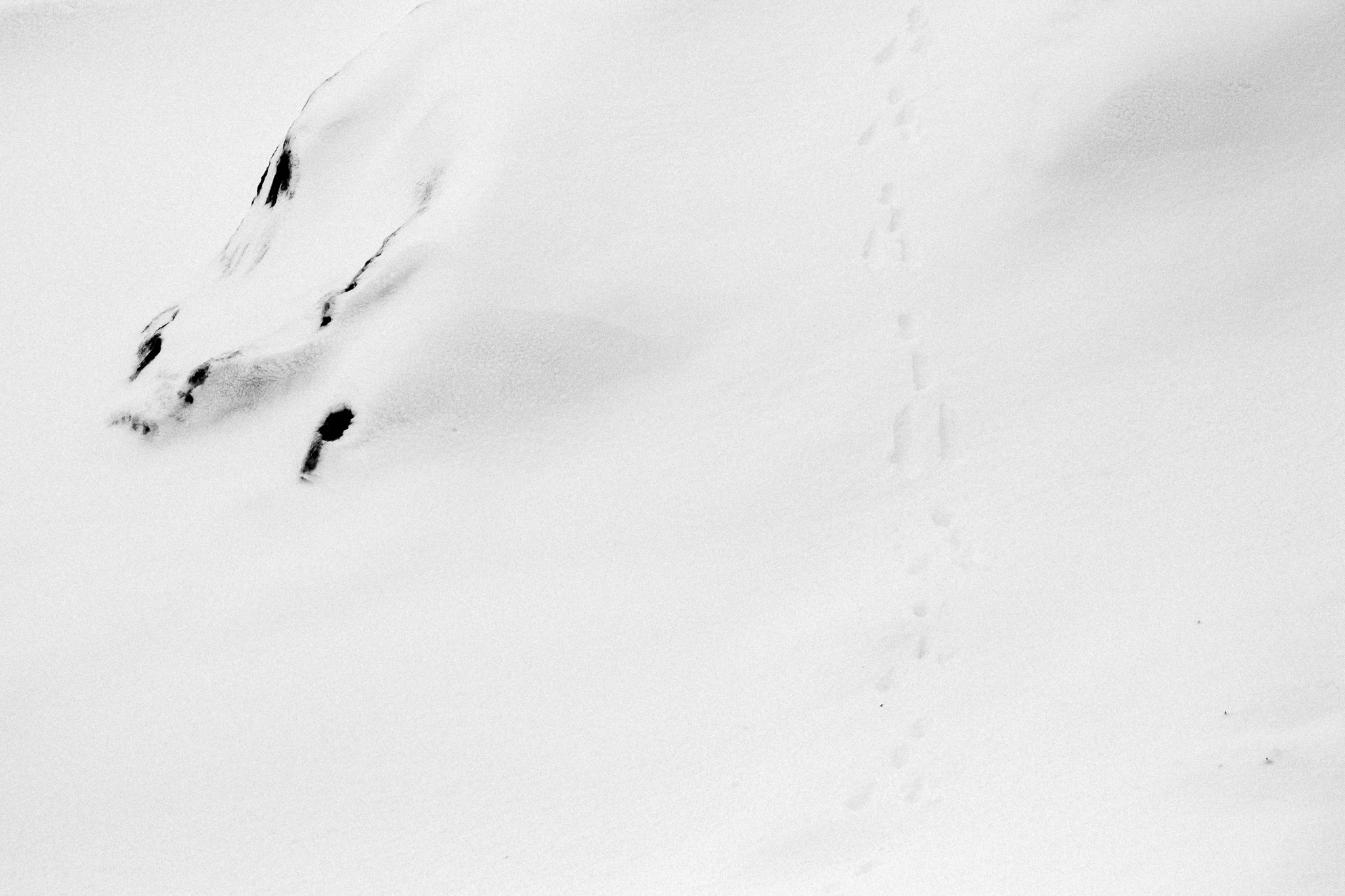 Saint-Pierre-et-Miquelon sous la neige
