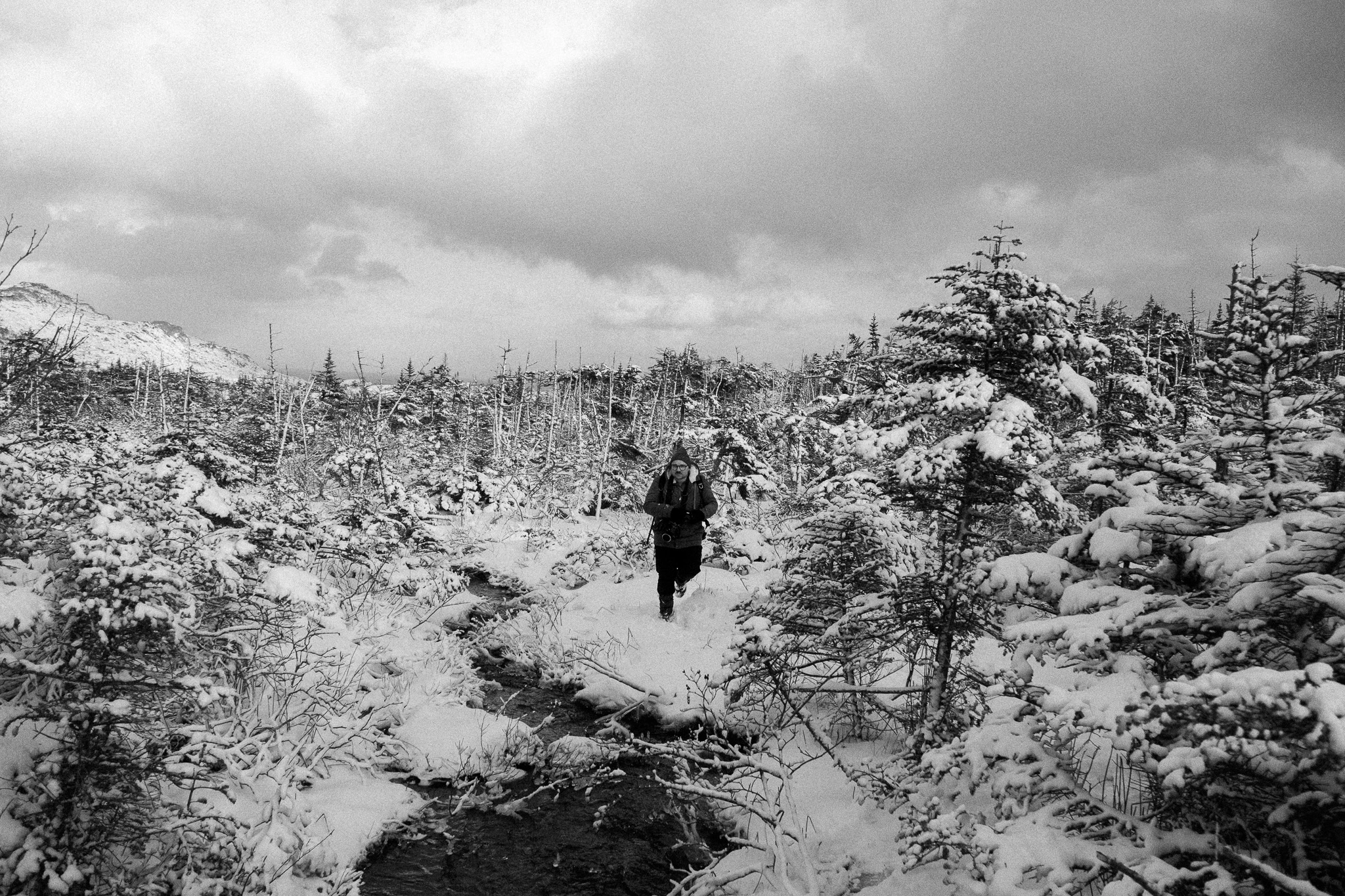 Saint-Pierre-et-Miquelon sous la neige